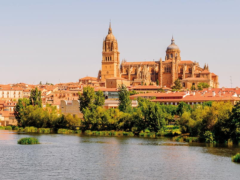 Salamanca Cathedral in Salamanca, Castile and Leon, Spain Salamanca Cathedral in Salamanca, Castile and Leon, Spain